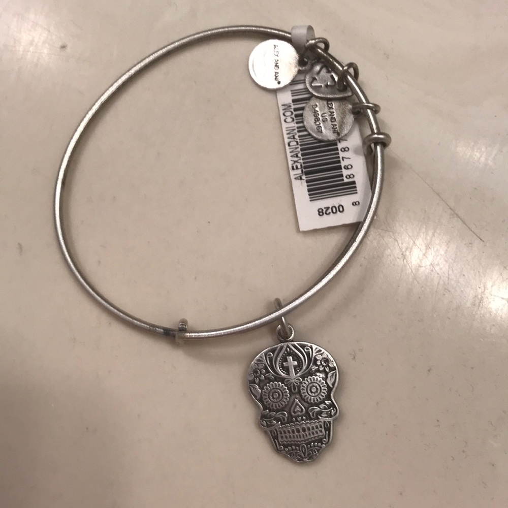 Alex and Ani Skull